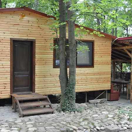 Grivitsa Плевен